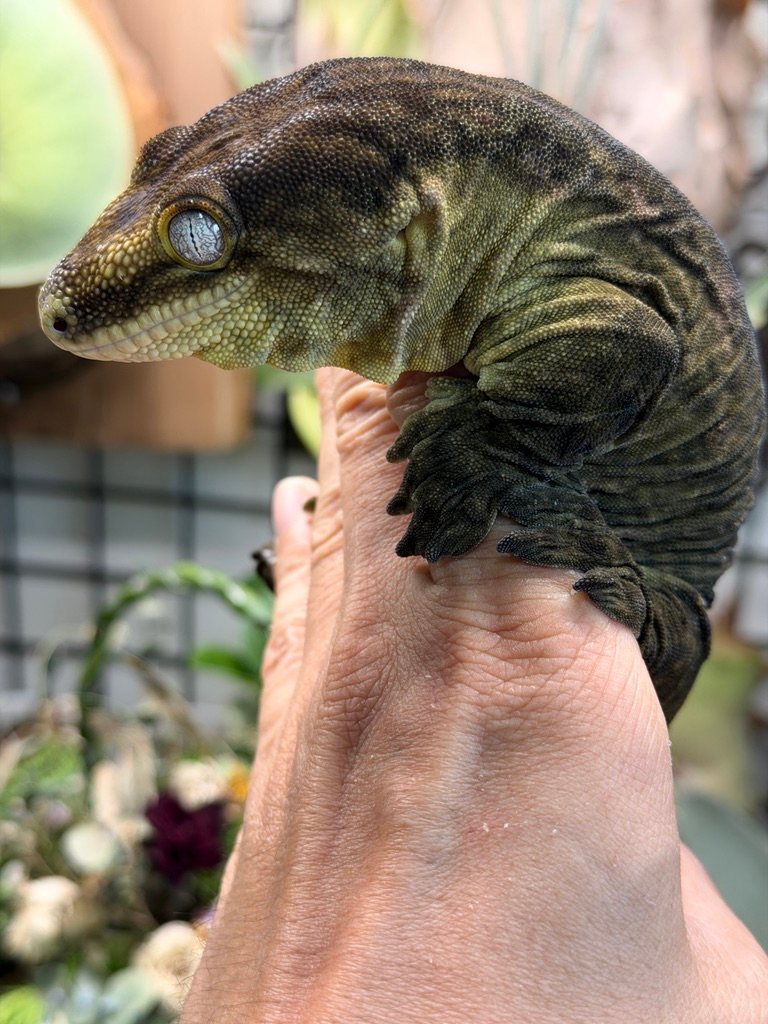 煤炭